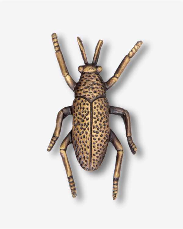 Pin - Cucaracha Ref. 1