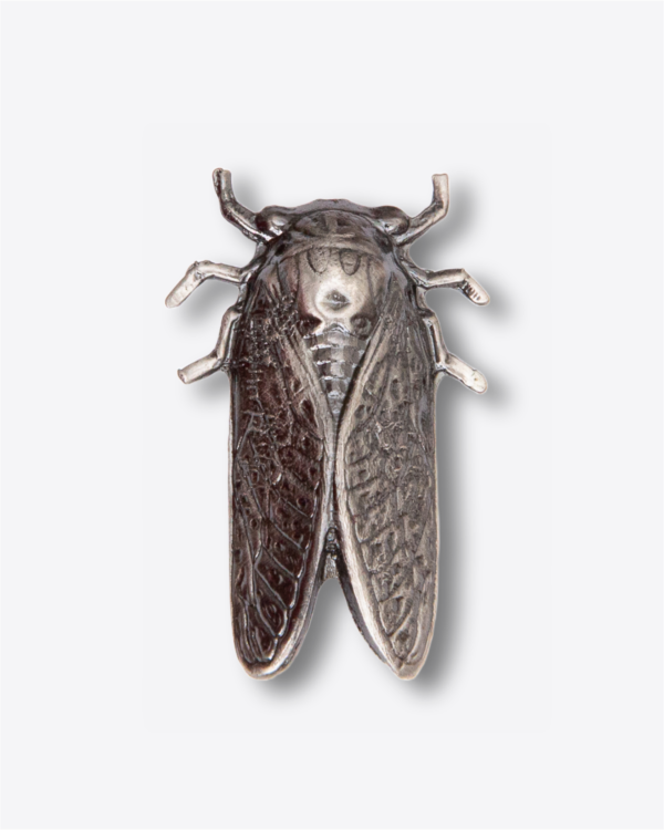 Pin - Polilla Ref. 1