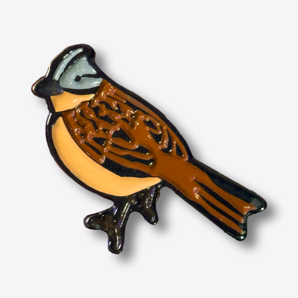 Pin - Chingolo