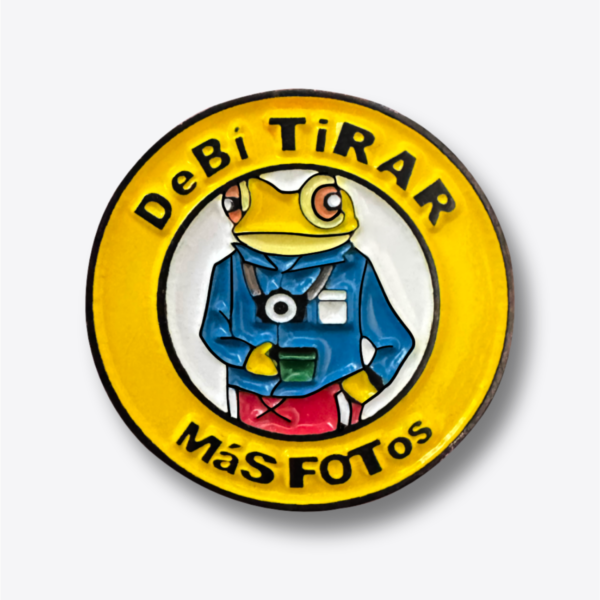 Pin - DtMF