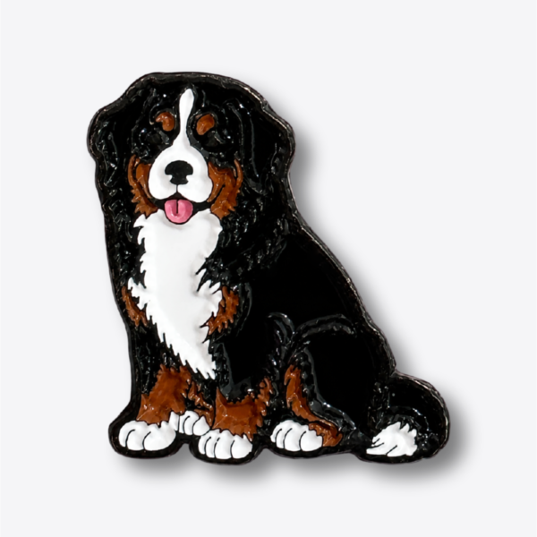 Pin -Bernes de la montaña